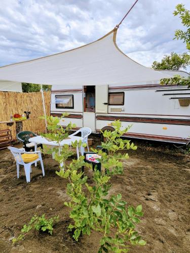 Сад в Beachfront Caravans
