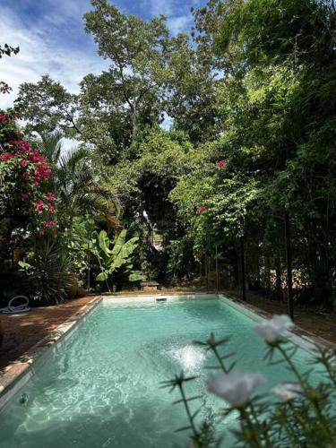 a swimming pool in a garden with trees and flowers at oasis en la ciudad in Eldorado