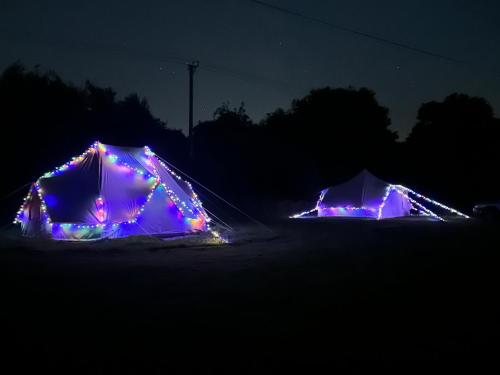 two tents covered in lights in the dark at Cooll Camping Canterbury in Canterbury