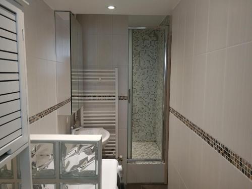 une salle de bain avec une douche, un lavabo et un miroir dans l'établissement Studio pour 3 personnes à 1 station de métro de Paris, à Saint-Denis