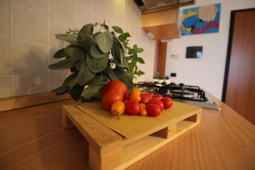 a bunch of tomatoes on a cutting board on a kitchen counter at Italian Experience-Bellaria Suite Apartment in Bellaria-Igea Marina