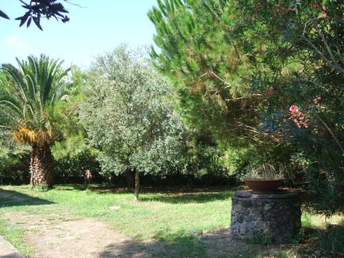 Φωτογραφία από το άλμπουμ του Italian Experience- Holiday Home Giannella σε Giannella