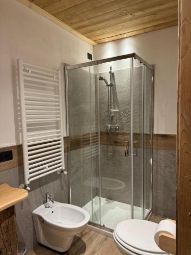 a bathroom with a shower and a toilet and a sink at Appartamenti al Ciariè in Cima Gogna
