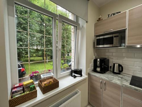 Kuchyň nebo kuchyňský kout v ubytování Apartment Jõesuu