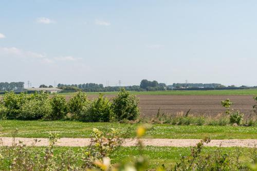 a field with a field of crops and a dirt road at Luxe 4 pers chalet op minicamping in waarde in Waarde