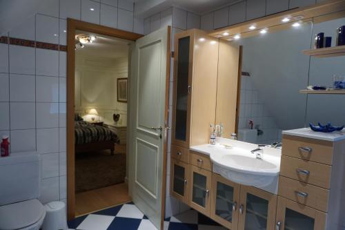 a bathroom with a sink and a toilet and a mirror at Michel in Trois-Ponts