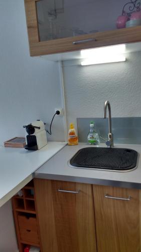Il comprend une cuisine équipée d'un évier et d'un grille-pain. dans l'établissement Appartement Colmar Centre Le 4, à Colmar
