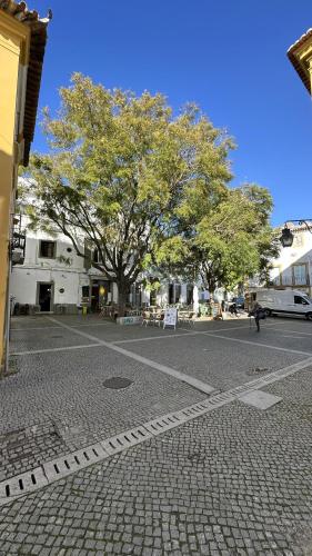 a tree in the middle of a street at Largo Inn Suites Evora in Évora