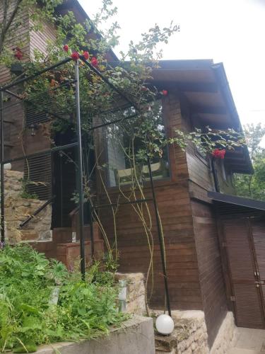 a house with flowers on the side of it at Pensiunea Casa Dacilor in Podeni