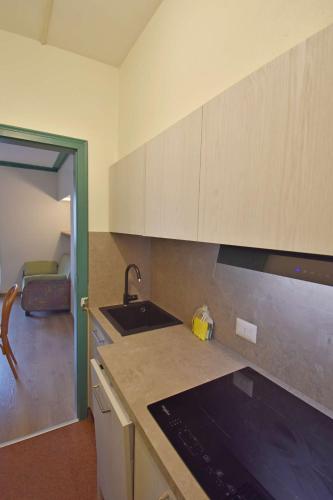 a kitchen with a sink and a counter top at Central SPORT CAMPIGLIO 407 in Madonna di Campiglio