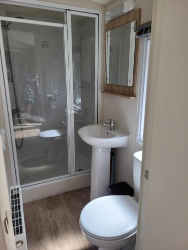 un bagno con wc, lavandino e doccia di Chalet bij Lente van Drenthe nabij meer a Gasselte