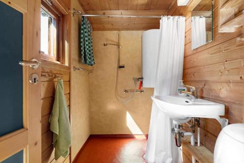 OppheimにあるCozy cabin, minimum 5 nightsの洗面台とシャワー付きのバスルーム