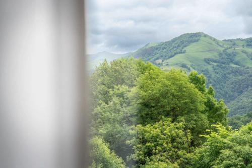 a view of trees and mountains from a window at Logis Hôtel Etchemaïté in Larrau
