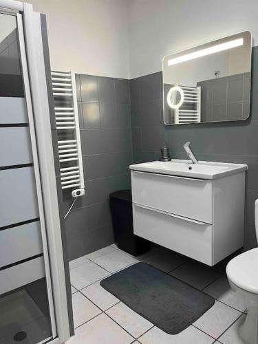 une salle de bain avec un lavabo et un miroir dans l'établissement Appartement cosy, à Saint-Laurent-de-la-Salanque