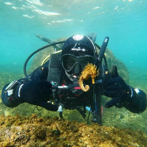 Φυσικό τοπίο κοντά σε αυτό το διαμέρισμα