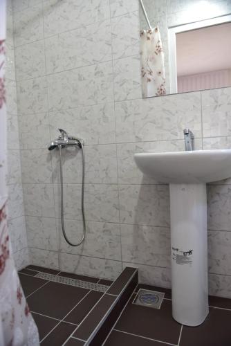 a bathroom with a sink and a shower at Villa Rita in Ohrid