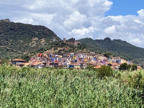 eine Stadt auf einem Hügel mit Häusern auf einem Hügel in der Unterkunft Antica Dimora - Appartamento 2 in Bosa