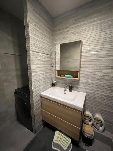 une salle de bain avec un lavabo et un miroir dans l'établissement Appartement Spacieux et Luxueux, à Franconville