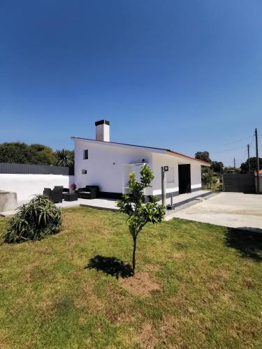 a small tree in a yard in front of a building at Casa la Grenadine in Esmoriz