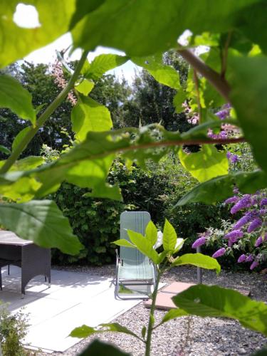 une chaise au milieu d'un jardin dans l'établissement jolie maison à la campagne, à Rétaud