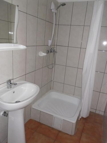 a bathroom with a shower and a sink and a toilet at Casa de Vacanta Simfonia Apelor in Dunavăţu de Jos