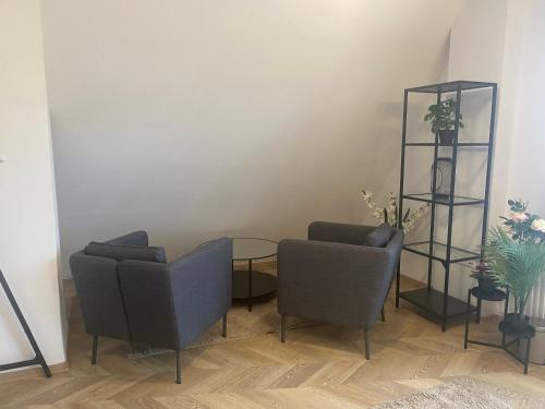 a living room with two chairs and a table at Apartmán v centru Krumlova in Český Krumlov