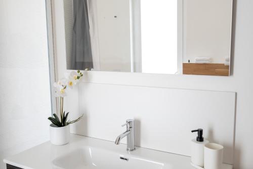 a bathroom with a sink and a mirror at FP Apartments Pizzo in Pizzo