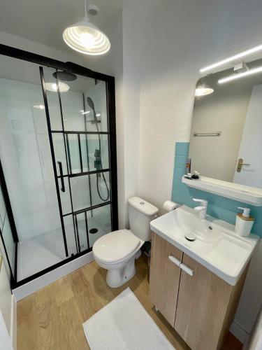a bathroom with a toilet and a sink and a shower at T1 bis à la décoration soignée in Lamballe Armor