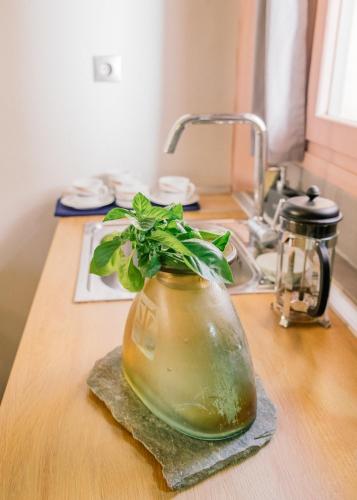 Chania Cozy Studios