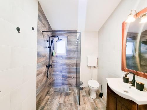 a bathroom with a shower and a toilet and a sink at Apartmani 1 Pinezici in Pinezici