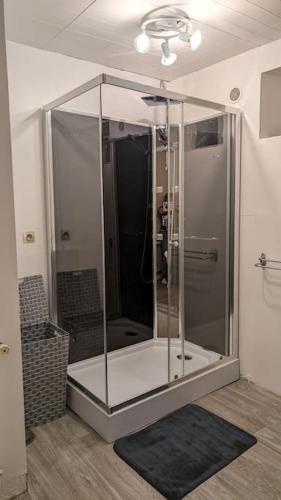 La salle de bains est pourvue d'une douche en verre et d'un tapis. dans l'établissement La maison de Gaomi, à Arbigny-sous-Varennes