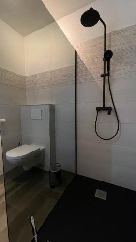 a bathroom with a shower and a toilet in it at Roses Apartment Prijeten apartma za dve osebi in Mengeš