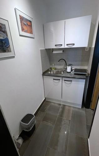 a small kitchen with white cabinets and a sink at Roses Apartment Prijeten apartma za dve osebi in Mengeš