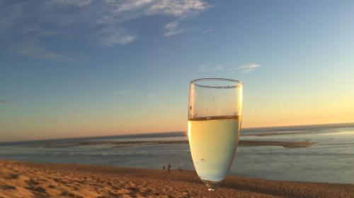 Naturlandskabet i nærheden af feriehuset
