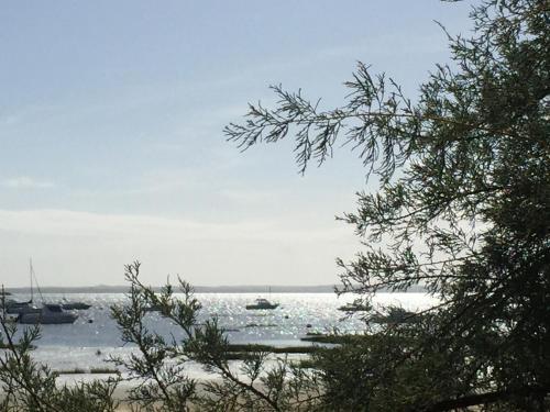 Côté bassin, maison 4 personnes