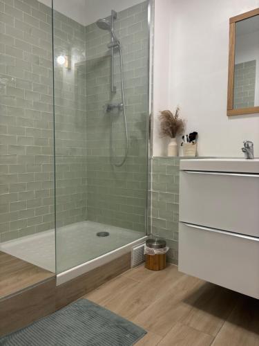 La salle de bains est pourvue d'une douche, d'une baignoire et d'un lavabo. dans l'établissement Appartement intra-muros Avignon, à Avignon