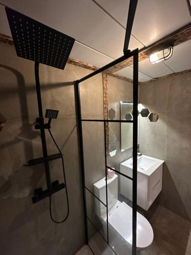 a bathroom with a shower with a toilet and a sink at Eco-friendly beach house in Sesimbra