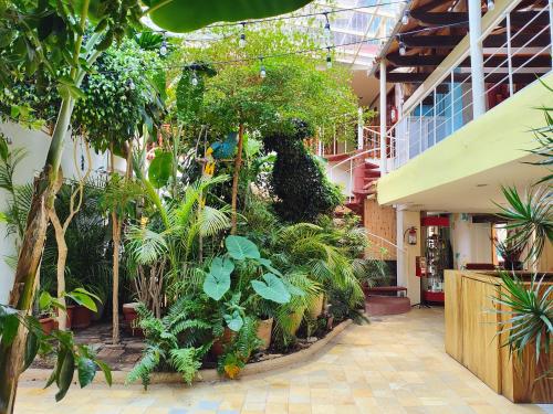 Κήπος έξω από το Hotel Barrio Antiguo