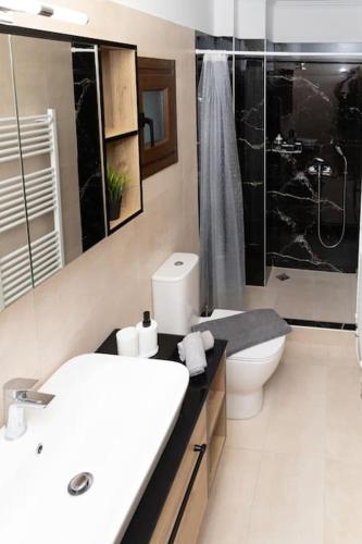 a bathroom with a sink and a toilet and a shower at Το Σπίτι της Γιαγιάς 1 (Grandma's House 1) in Kondopoúlion