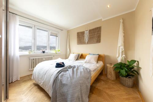 Rooftop Flower Power Apartmant