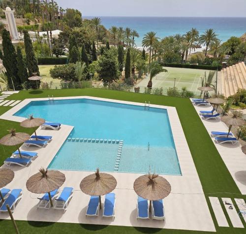 Sol Mediterráneo - Palm Beach 5