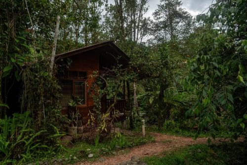 a wooden cabin in the middle of a forest at River Song's Hotel in Mindo