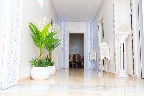 a lobby with white walls and plants in white vases at Luxury Apartments Tangier in Tangier