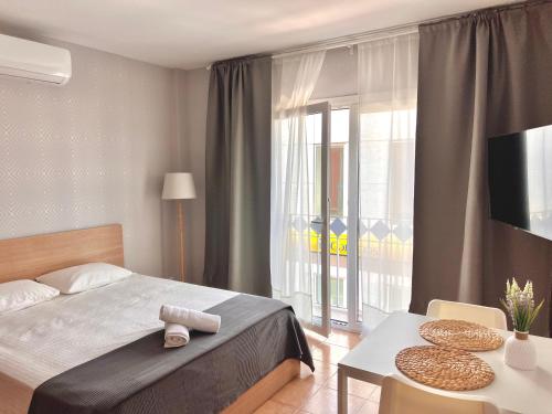 Oliva Studio 103 New 2024!