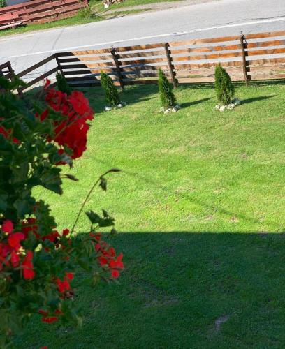 a group of flowers in a yard with a fence at Casa Natalia Raisa Arieșeni in Arieşeni