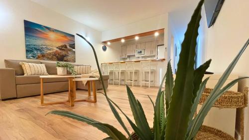 MarketHome Neptuno Beach Front 1BDR Apartment