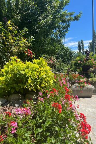 a garden filled with lots of colorful flowers at CASA VITTORIA in Gignod