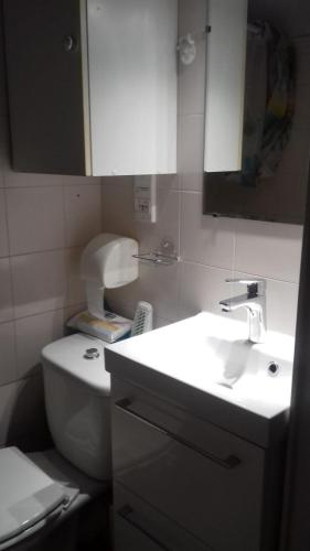 une salle de bain avec toilettes, lavabo et miroir dans l'établissement Studio Rénové en Rez de Jardin Climatisé, à Cannes