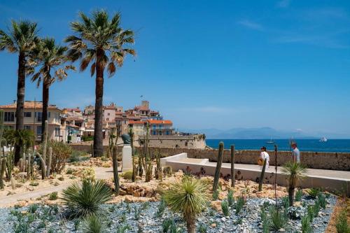 2P Remparts Vieil Antibes photo 7