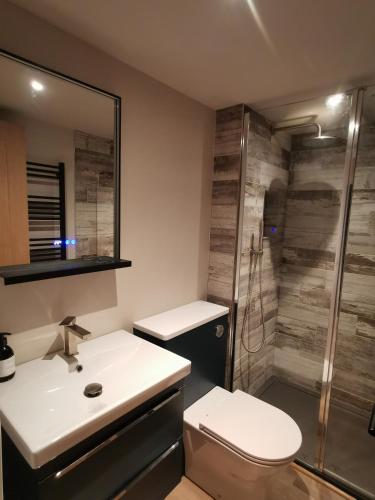 a bathroom with a toilet and a sink and a shower at Hastings Casita, 'little house' self contained garden lodge, close to town and seafront in Hastings